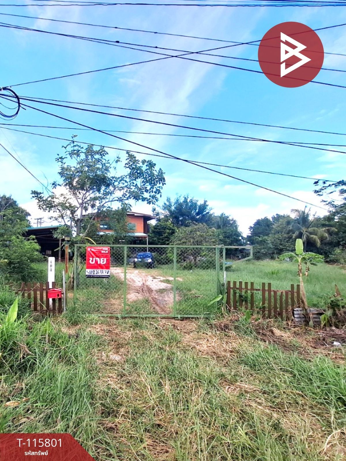 ขายบ้านโคราช นครราชสีมา : ขายบ้านเดี่ยวพร้อมที่ดิน เนื้อที่ 2 งาน 52 ตร.วา พระทองคำ นครราชสีมา