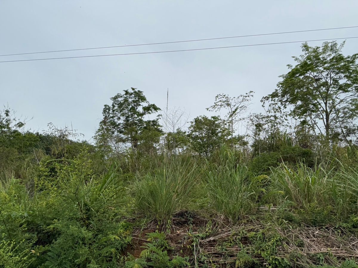 ขายที่ดินจันทบุรี : ที่ดินทำเลดี ใกล้ถนนใหญ่ อ.โป่งน้ำร้อน จันทบุรี