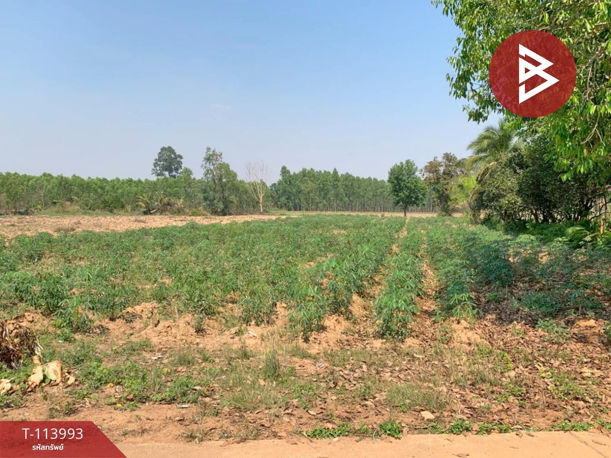 For SaleLandChachoengsao : Land for sale in an area of ​​5 rai 1 ngan 70 square wah, Sanam Chai, Chachoengsao District