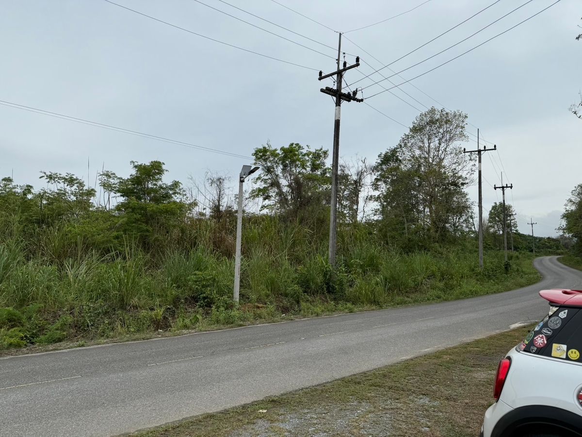 ขายที่ดินจันทบุรี : ที่ดินทำเลดี ใกล้ถนนใหญ่ อ.โป่งน้ำร้อน จันทบุรี