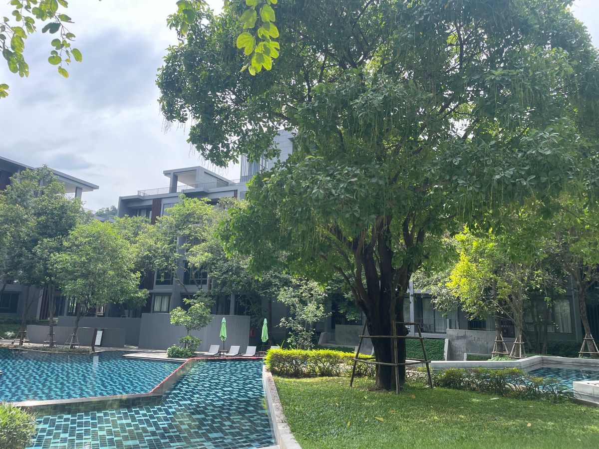 ขายคอนโดปากช่อง เขาใหญ่ : คอนโดหรู ห้องมุม ติดถนนใหญ่ อ.ปากช่อง เดินทางสะดวก