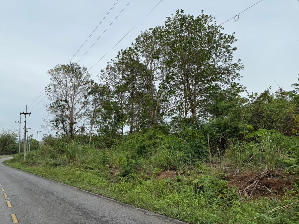 ขายที่ดินจันทบุรี : ที่ดินทำเลดี ใกล้ถนนใหญ่ อ.โป่งน้ำร้อน จันทบุรี