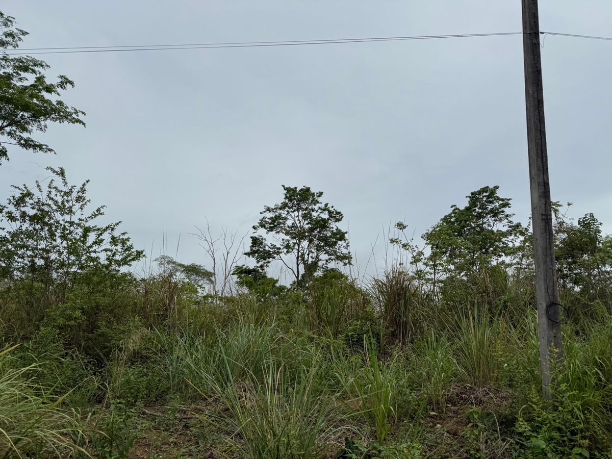 ขายที่ดินจันทบุรี : ที่ดินทำเลดี ใกล้ถนนใหญ่ อ.โป่งน้ำร้อน จันทบุรี