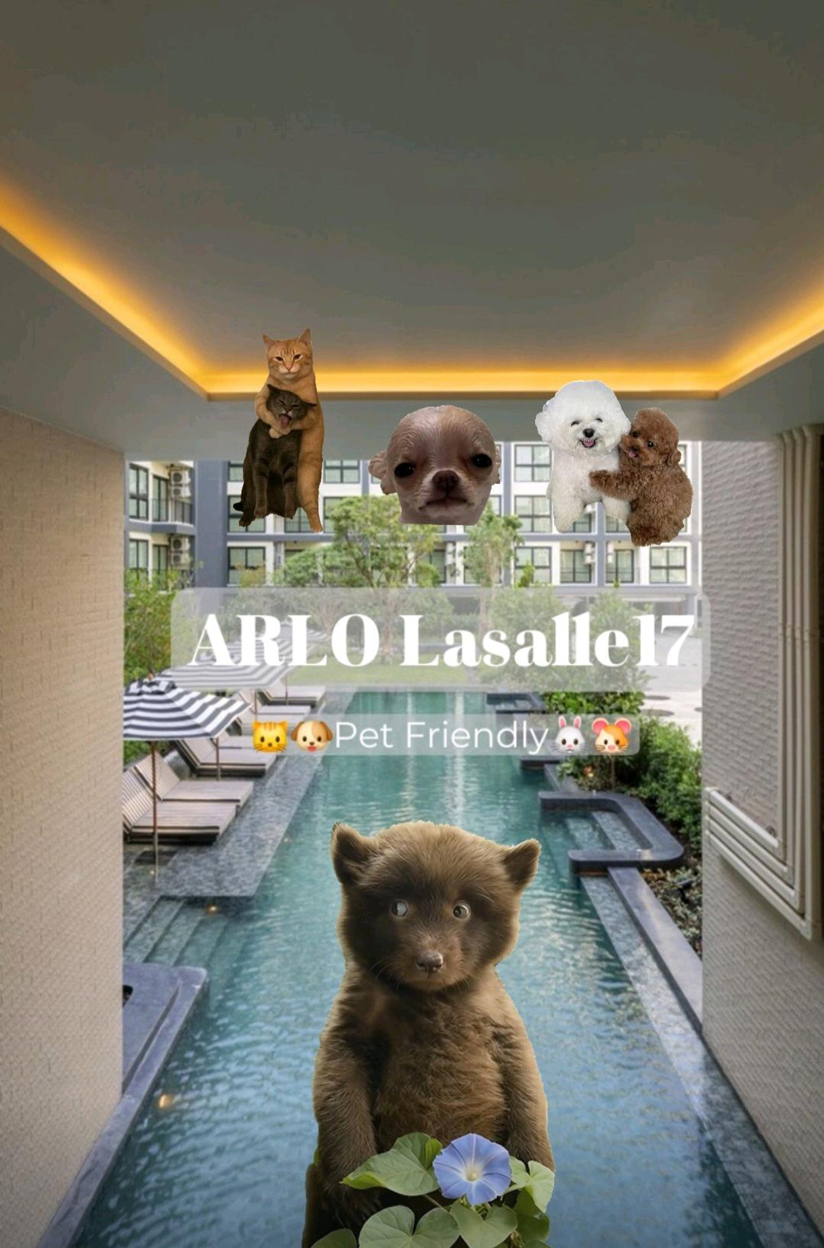 ขายคอนโดบางนา แบริ่ง ลาซาล : 🐰🐹🐱🐶 คอนโดเลี้ยงสัตว์ได้ ผ่อนสบาย 6,900 📍Arlo Lasalle17 Sukhumvit 105 🎊เพียง 1,8900,000 
🏅ดูแลทุกระดับประทับใจ 🏅ดันทุกเคส 🏅ทักให้เราดูแลได้เลยค่ะ 