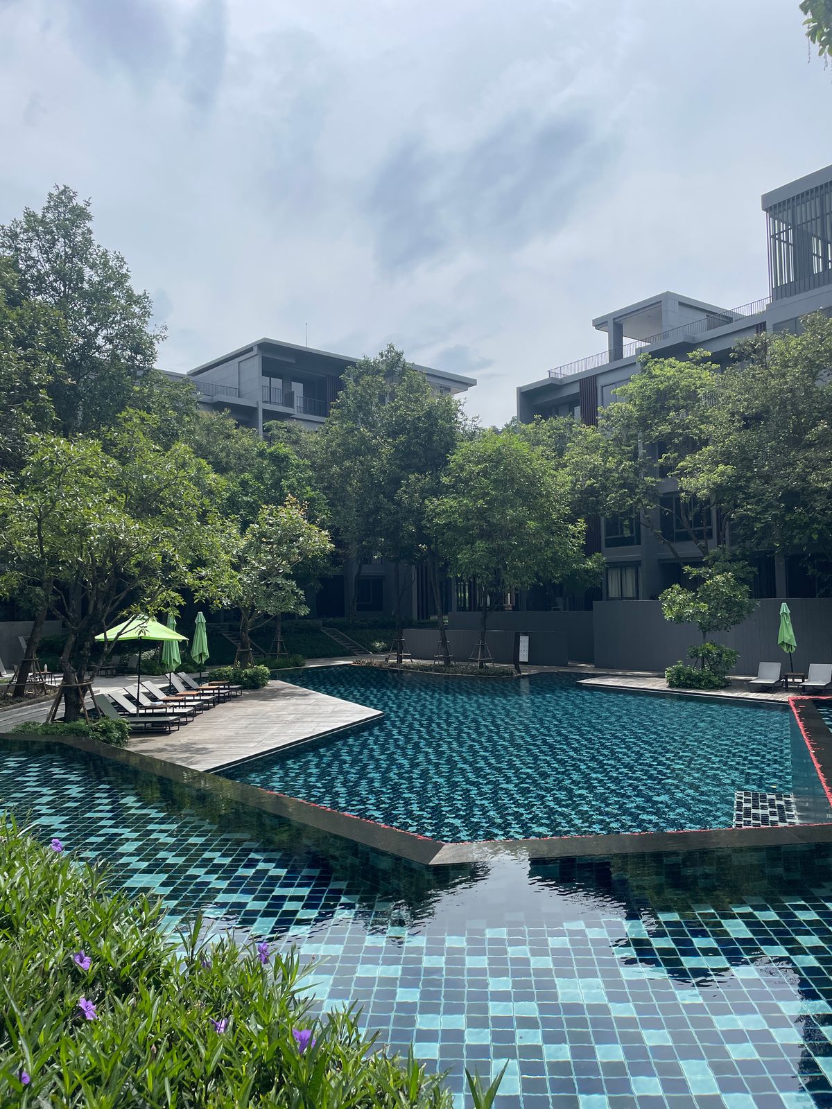 ขายคอนโดปากช่อง เขาใหญ่ : คอนโดหรู ห้องมุม ติดถนนใหญ่ อ.ปากช่อง เดินทางสะดวก