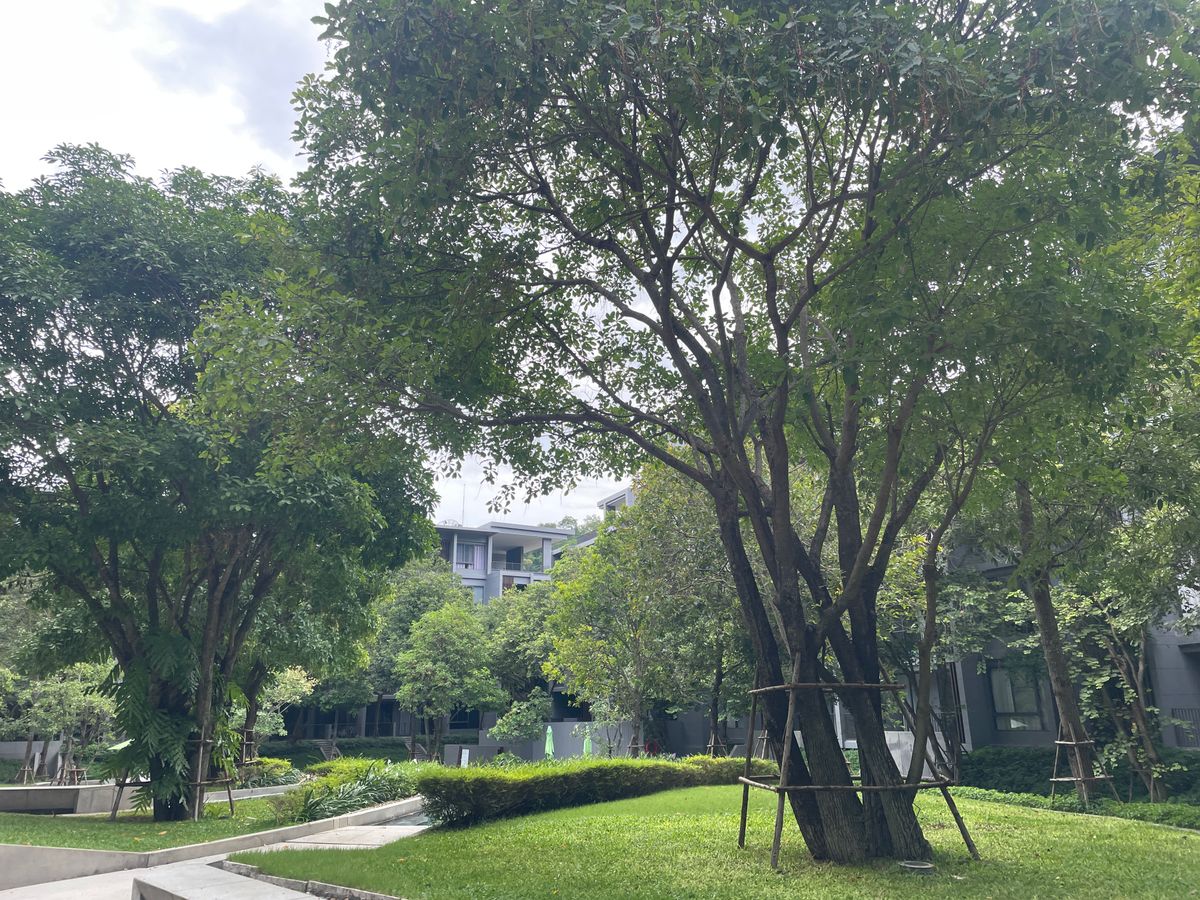 ขายคอนโดปากช่อง เขาใหญ่ : คอนโดหรู ห้องมุม ติดถนนใหญ่ อ.ปากช่อง เดินทางสะดวก