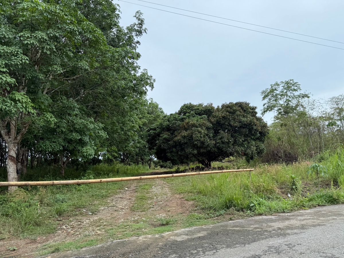 For SaleLandChanthaburi : Good location land near the main road, Pong Nam Ron District, Chanthab