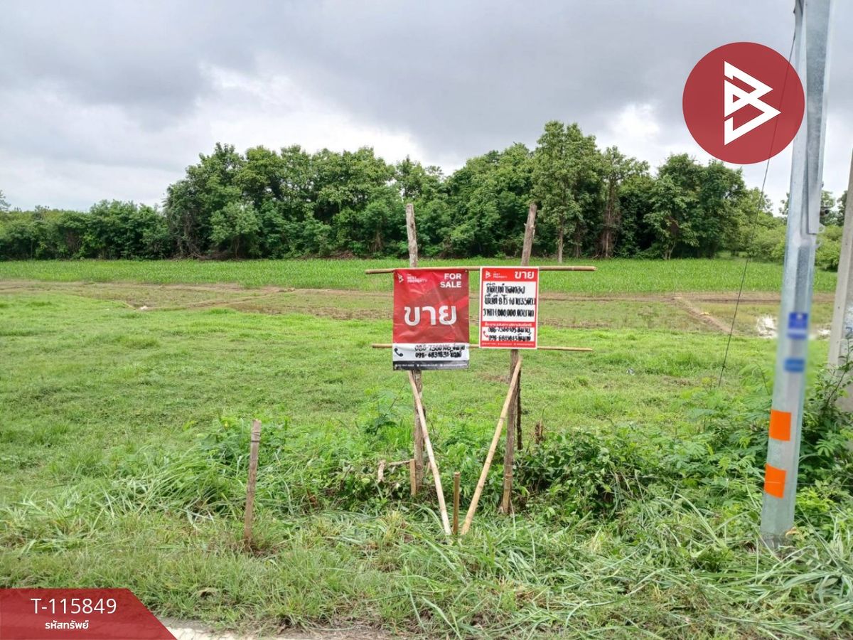 ขายที่ดินอุตรดิตถ์ : ขายที่ดิน เนื้อที่ 8 ไร่ 1 งาน 35 ตร.วา วังดิน อุตรดิตถ์