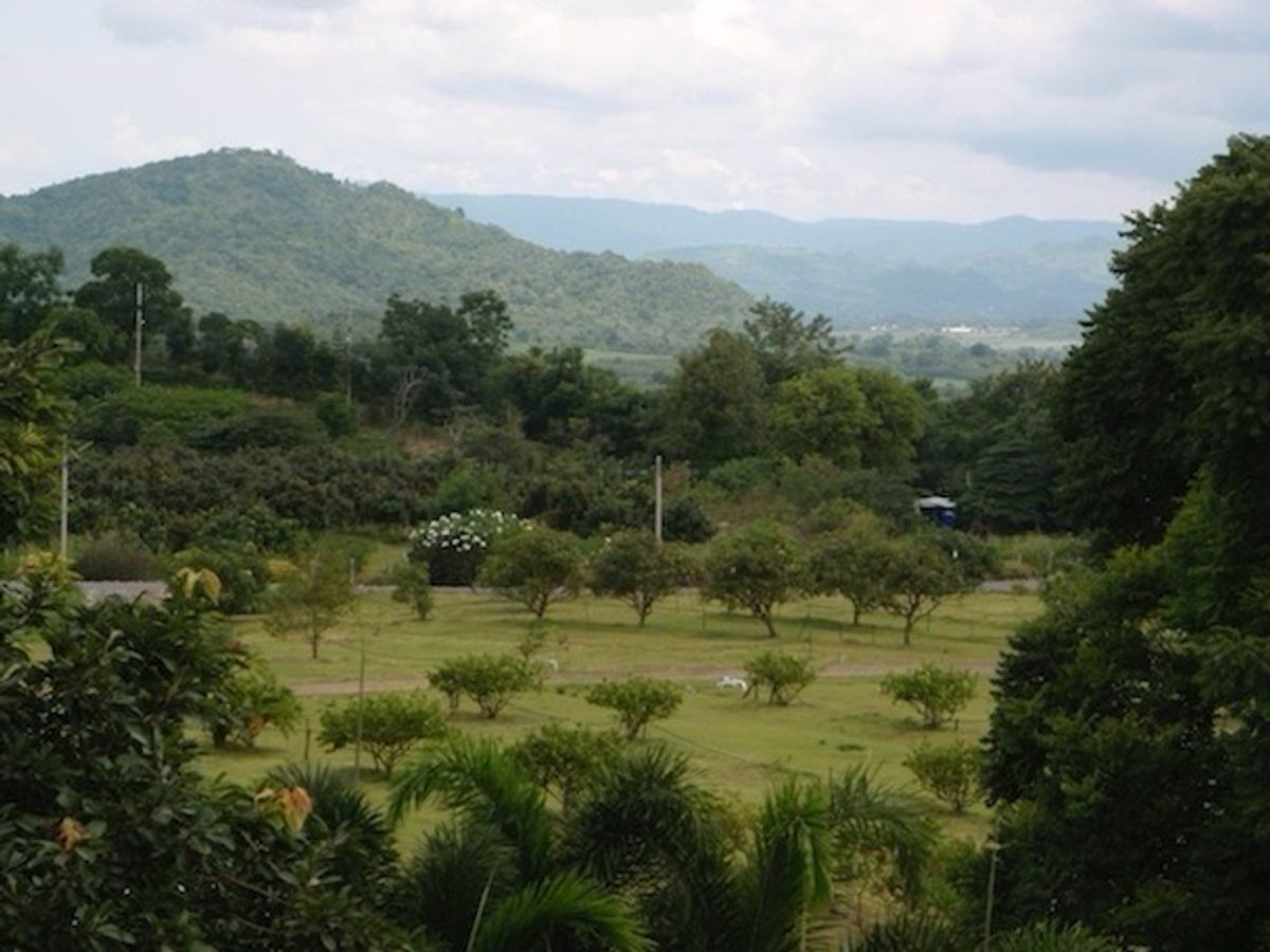 For SaleLandPak Chong KhaoYai : 📢👇 Stunning Hilltop Estate with Luxury Thai-Style Villas Nestled in Serene Natural SurroundingsA rare opportunity for those seeking tranquility and long-term development potential. This beautiful land is ideal for a private retreat, luxury resort, Fre
