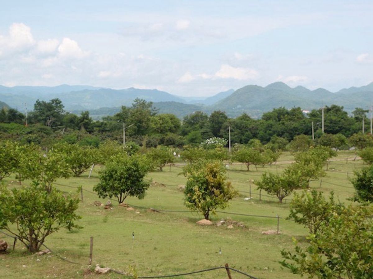 For SaleLandPak Chong KhaoYai : 📢👇 Stunning Hilltop Estate with Luxury Thai-Style Villas Nestled in Serene Natural SurroundingsA rare opportunity for those seeking tranquility and long-term development potential. This beautiful land is ideal for a private retreat, luxury resort, Fre