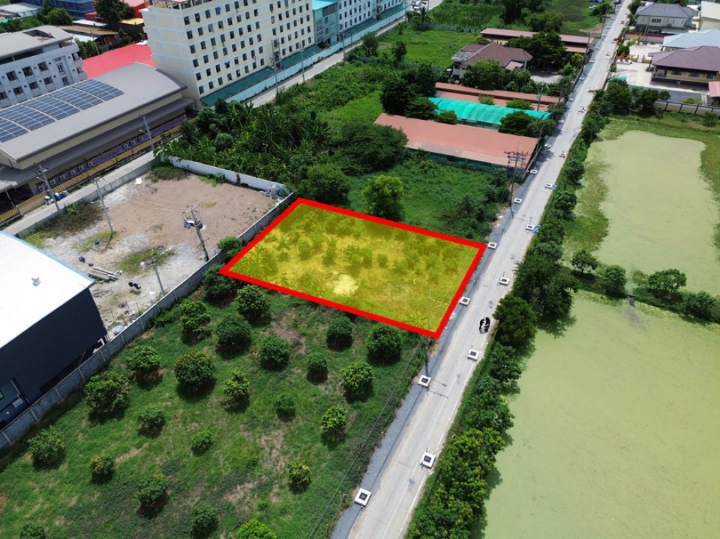 ขายที่ดินปทุมธานี รังสิต ธรรมศาสตร์ : ขาย ที่ดิน ซอย เทพกุญชร 29 ขนาด 200 ตรว ใกล้ถ.พหลโยธินแค่ 1.2 กม. KK