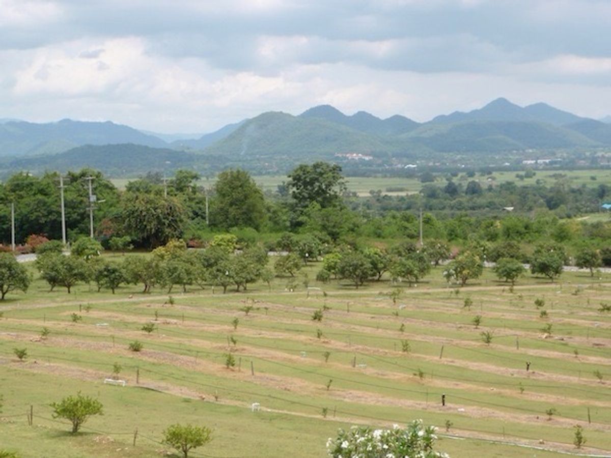For SaleLandPak Chong KhaoYai : 📢👇 Stunning Hilltop Estate with Luxury Thai-Style Villas Nestled in Serene Natural SurroundingsA rare opportunity for those seeking tranquility and long-term development potential. This beautiful land is ideal for a private retreat, luxury resort, Fre