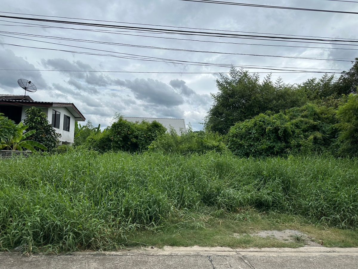 For SaleLandPinklao, Charansanitwong : Land for sale 139 sq. Wah. Soi Suan Phak 1, intersection 3, next to the vegetable garden, beautiful converter Suitable for building a house or apartment near Ratchapruek Road And Central Westwill