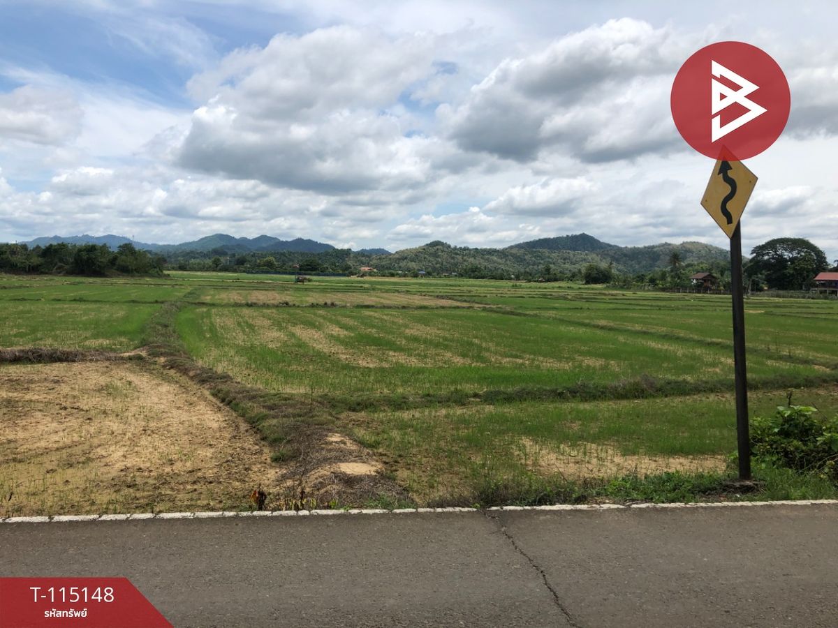 ขายที่ดินอุตรดิตถ์ : ขายที่ดิน เนื้อที่ 1 ไร่ 56 ตร.วา ลับแล อุตรดิตถ์
