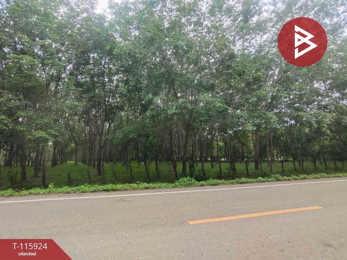 For SaleLandNakhon Phanom : Land for sale in an area of ​​42 rai 1 ngan 6 sq.wakhee, Nakhon Phanom