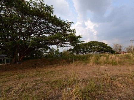 ขายที่ดินปากช่อง เขาใหญ่ : ขาย ที่ดิน เขาใหญ่ โครงการ โบนันซ่า 2ไร่ วิวภูเขาสวย เหมาะทำบ้านพักตากอากาศ