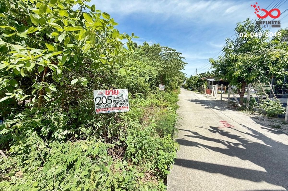 For SaleLandAyutthaya : Land for sale 205 square wah, near Bang Pa -in Industrial Estate Ayutthaya