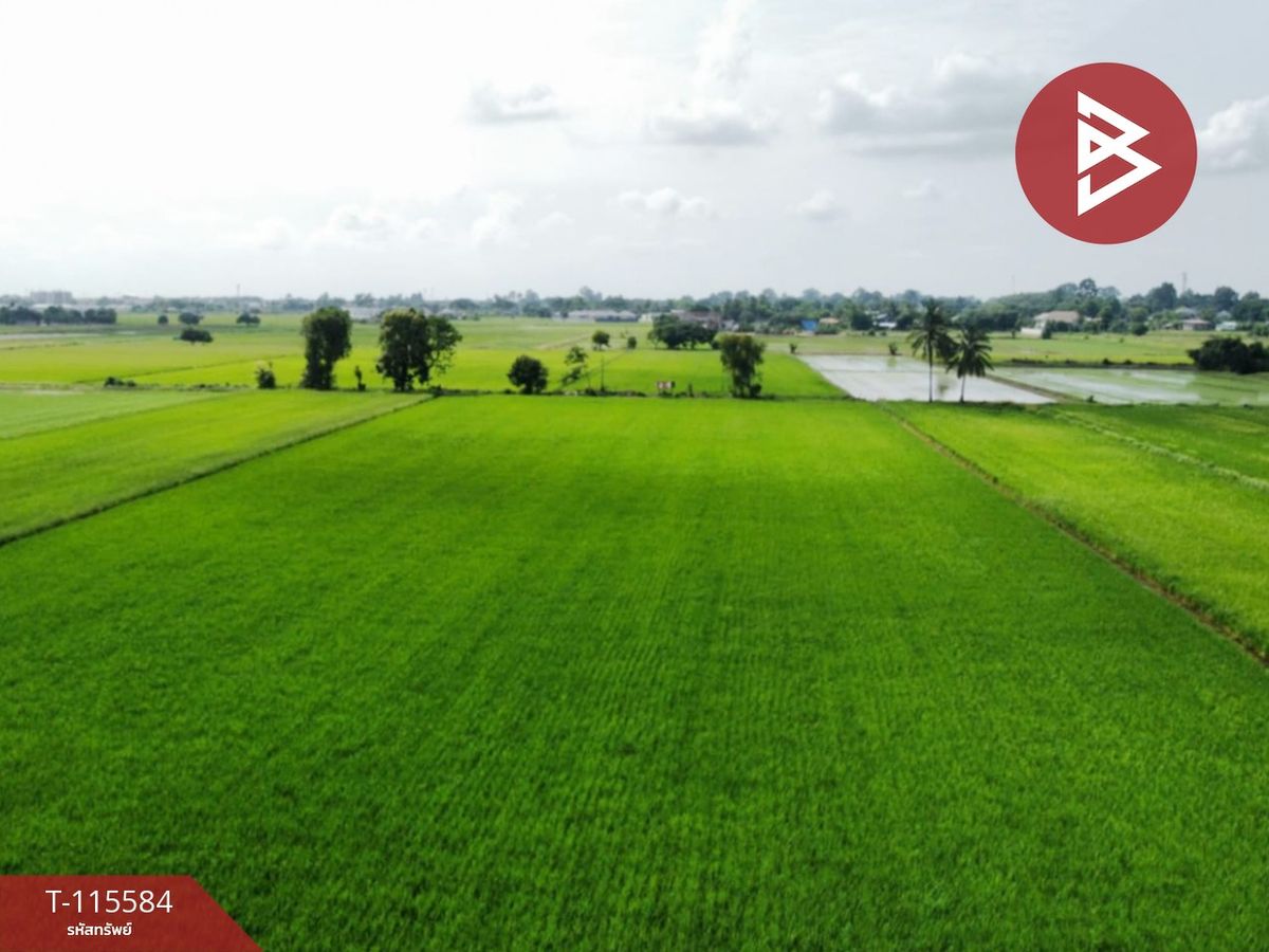 For SaleLandPhitsanulok : Land for sale in an area of ​​7 rai 2 ngan 36 sq.w., Philippine Temple, Phitsanulok
