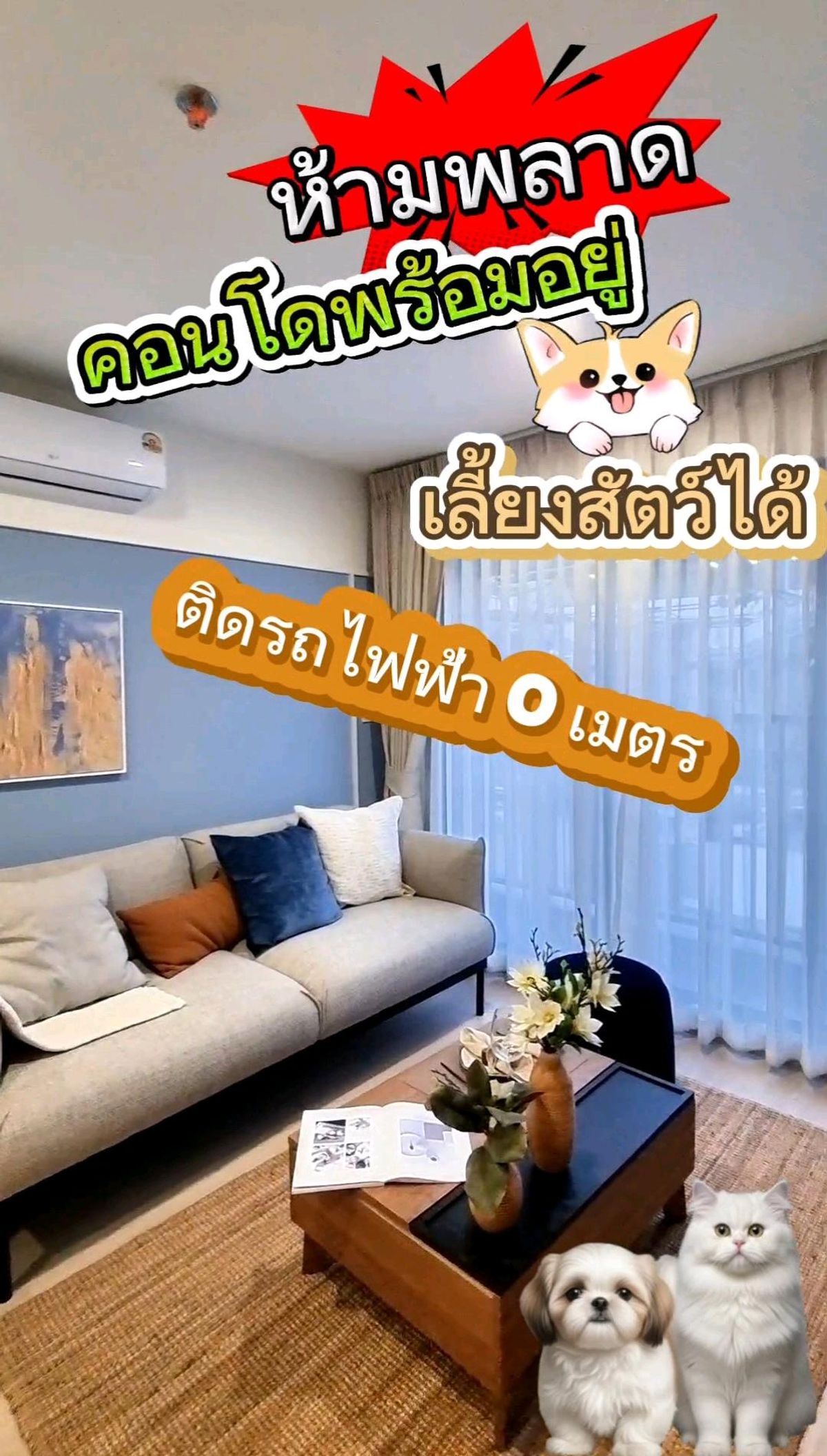 ขายคอนโดสมุทรปราการ สำโรง : คอนโดเลี้ยงสัตว์ได้โดยไม่ต้องแอบ ติดรถไฟฟ้า 0 เมตร Type 1Bed Plus ขนาด 34 ตรม. พร้อมส่วนลด(ส่วนลดพนักงาน+ส่วนลดSale) และของแถมอีกมากมาย