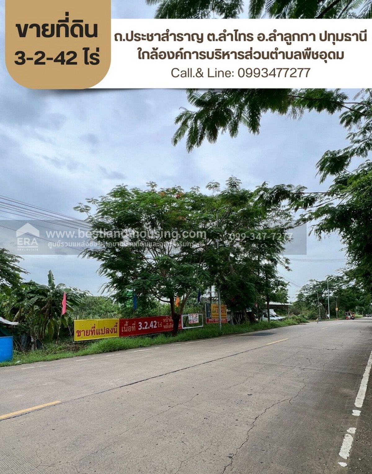 ขายที่ดินปทุมธานี รังสิต ธรรมศาสตร์ : ขายที่ดินเปล่า ถนนประชาสำราญ ต.ลำไทร อ.ลำลูกกา ปทุมธานี ขนาด 3-2-42 ไร่ ใกล้องค์การบริหารส่วนตำบลพืชอุดม ฿8,750-/ ตร.วา