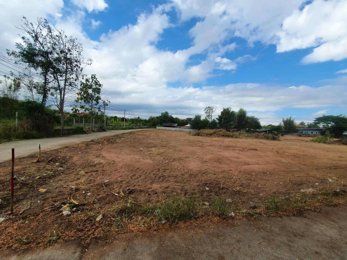 For SaleLandChiang Mai : Selling very cheap !! Land reclamation is 3-3-17 rai, next to the good location, San Pa Tong District, Chiang Mai Province, near Seven Market, many tourist attractions.