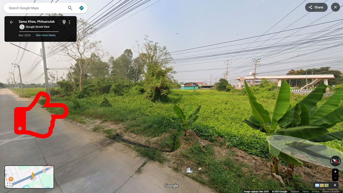 ขายที่ดินพิษณุโลก : ที่ดินสวย ต.สมอแข อ.เมืองพิษณุโลก ติดถนนสาธารณะสองด้าน