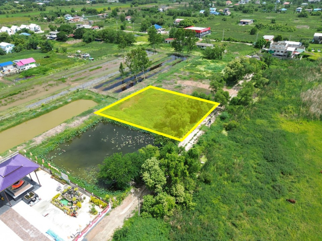 ขายที่ดินมีนบุรี-ร่มเกล้า : ขาย ที่ดิน ซ.เลียบวารี 59 ติดเทวาลัยเทพนิมิต 353 ตรว เหมาะปลูกบ้าน หรือทำโกดัง ใกล้ BigC หนองจอก ราคาพิเศษ