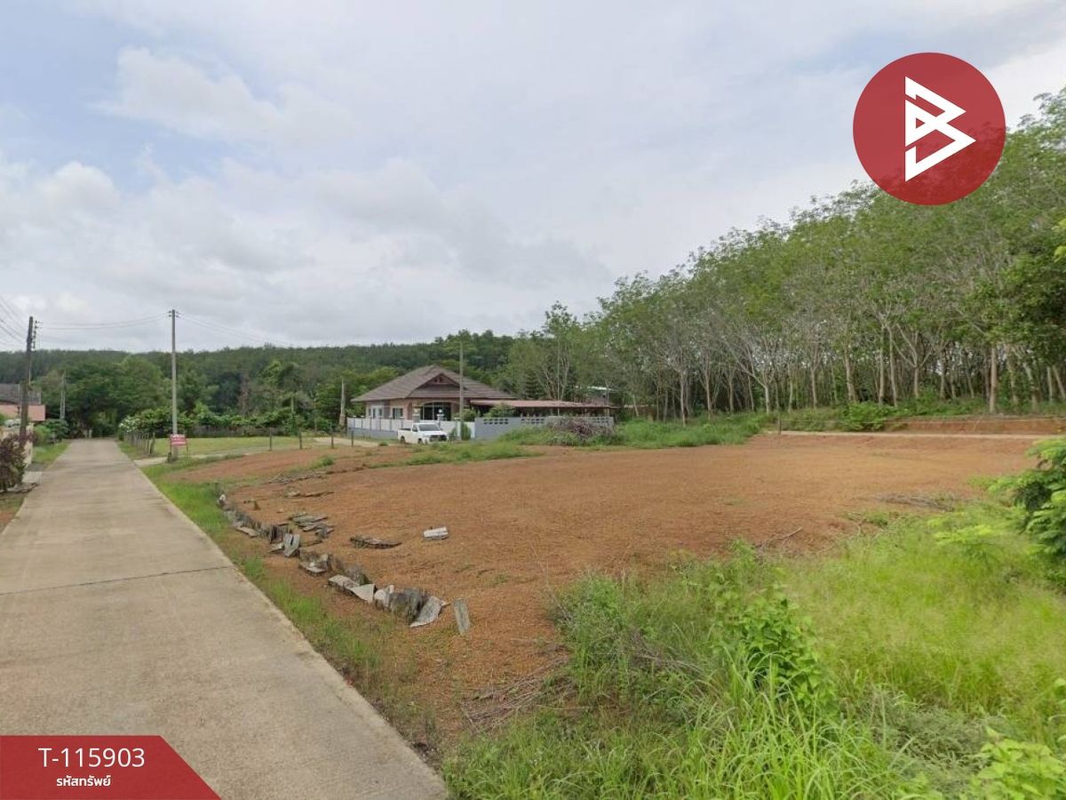For SaleLandTrat : Land for sale in an area of ​​1 work 3 sq.wah Wang Krachaja Trat