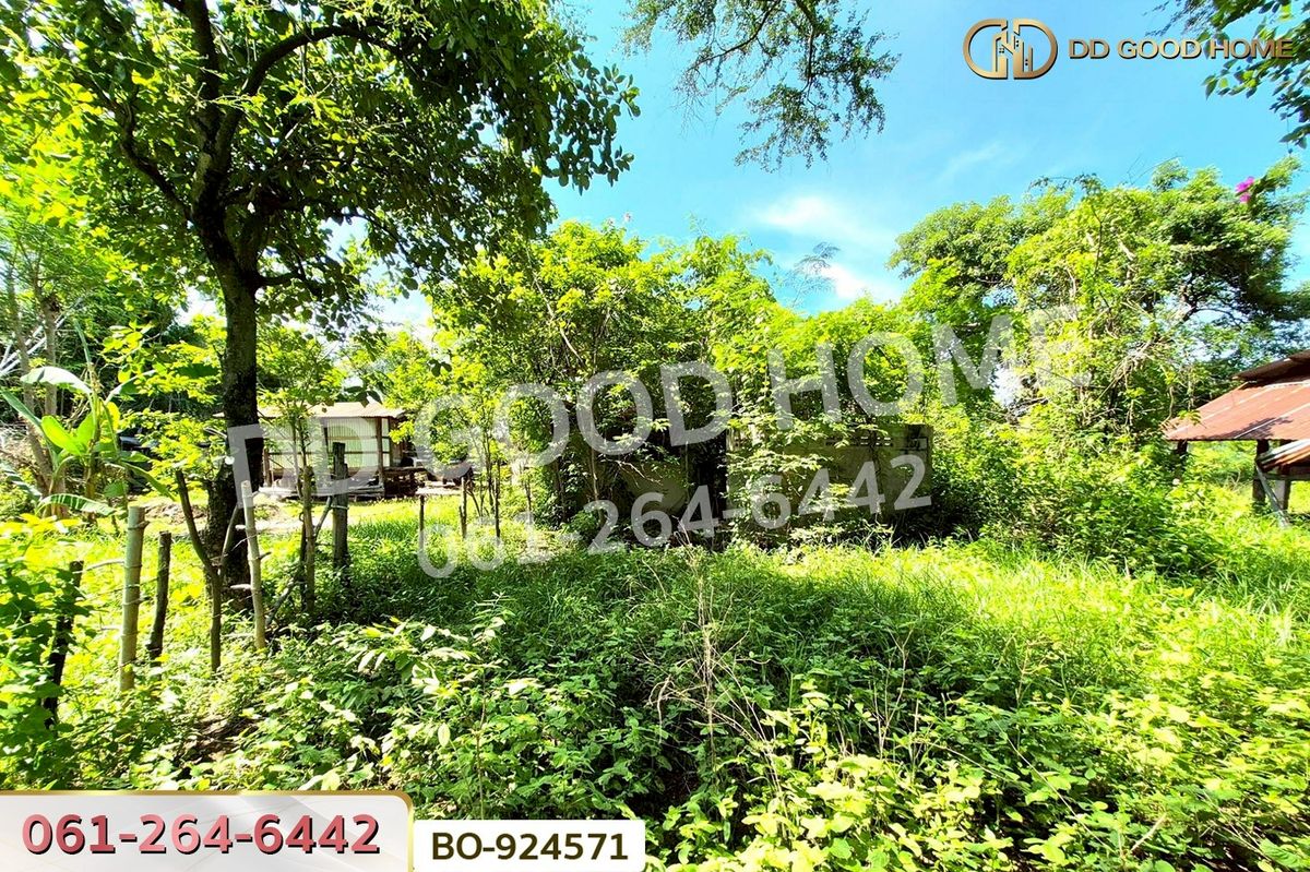 ขายที่ดินโคราช นครราชสีมา : BO-924571 ที่ดินโนนไทย 220.6 ตร.ว. นครราชสีมา ใกล้ที่ว่าการอำเภอโนนไทย