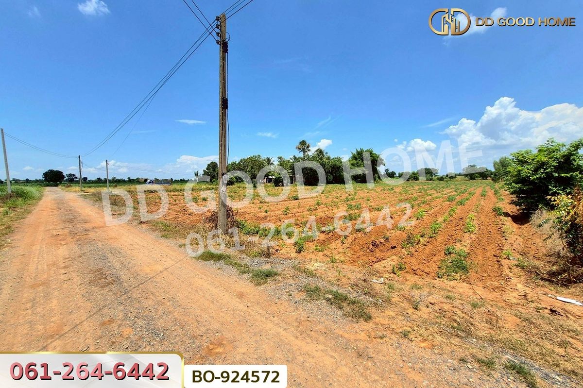 ขายที่ดินโคราช นครราชสีมา : BO-924572 ที่ดินด่านขุนทด 7 ไร่ 45 ตร.ว. นครราชสีมา ใกล้ด่านสีคิ้ว มอเตอร์เวย์บางปะอิน-โคราช