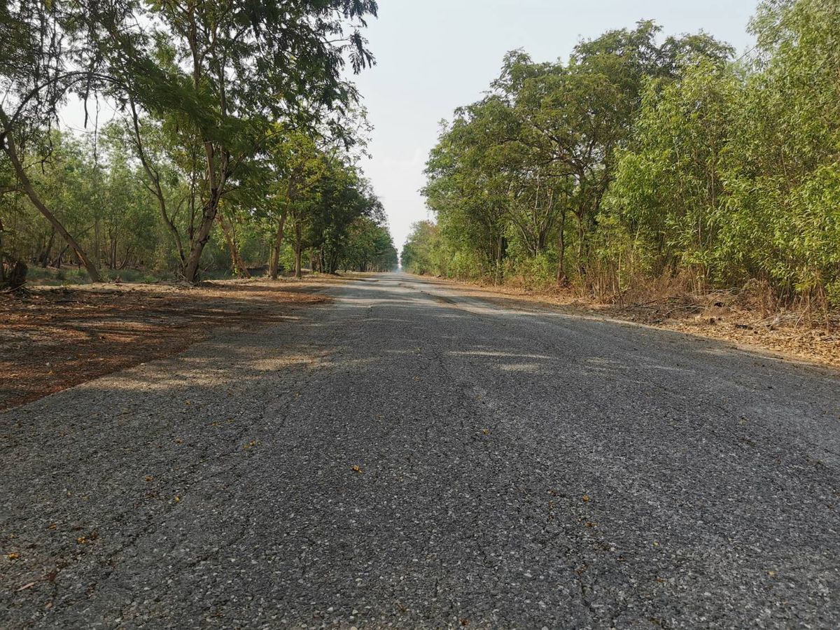 ขายที่ดินปทุมธานี รังสิต ธรรมศาสตร์ : ขายถูก ราคาต่ำกว่าราคาประเมิน ที่ดินจัดสรรในโครงการ