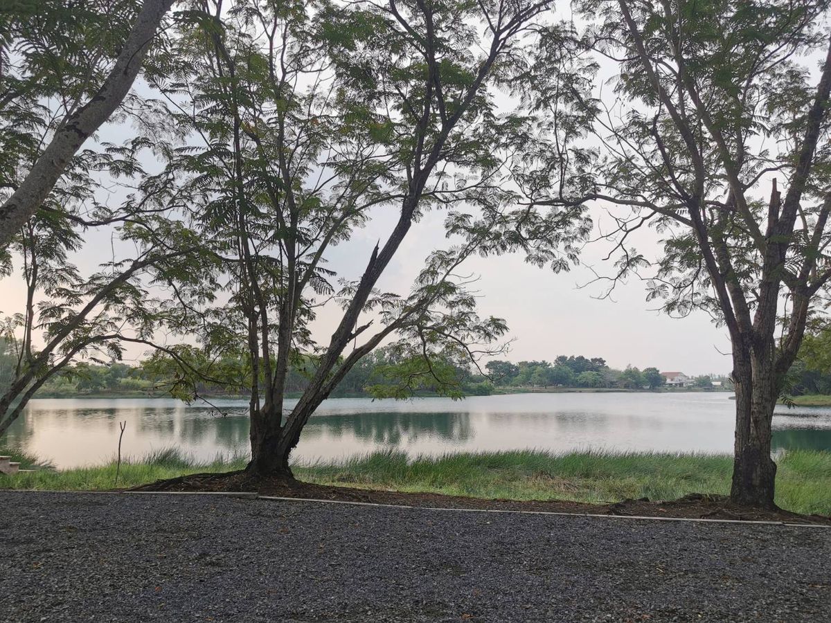 ขายที่ดินปทุมธานี รังสิต ธรรมศาสตร์ : ขายถูก ราคาต่ำกว่าราคาประเมิน ที่ดินจัดสรรในโครงการ