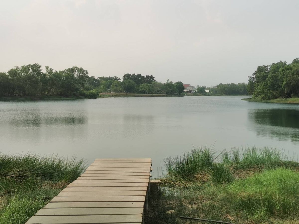 ขายที่ดินปทุมธานี รังสิต ธรรมศาสตร์ : ขายถูก ราคาต่ำกว่าราคาประเมิน ที่ดินจัดสรรในโครงการ