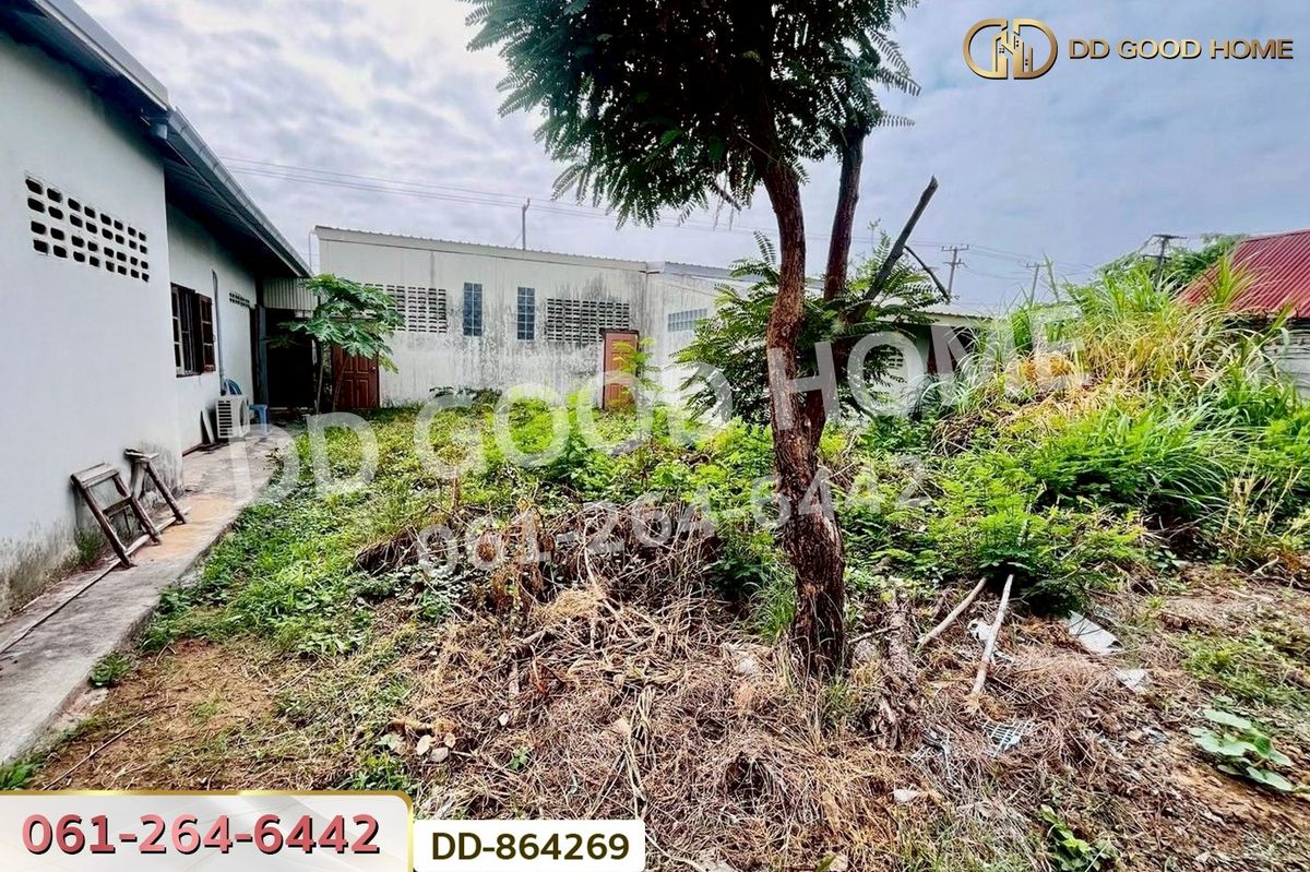 For SaleShop HouseUdon Thani : DD-864269 Single-storey commercial building, Non Sa-at, Udon Thani, near Non Sa-at Police Station