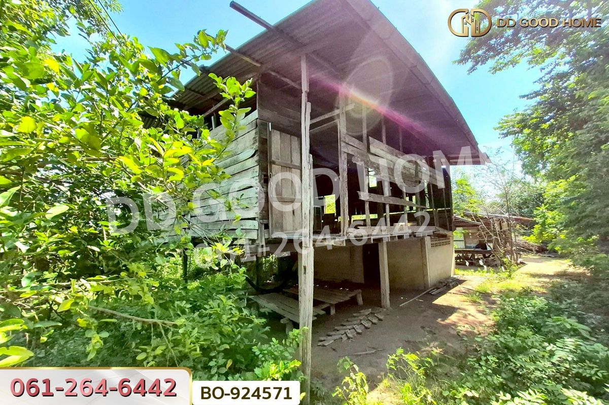 ขายที่ดินโคราช นครราชสีมา : BO-924571 ที่ดินโนนไทย 220.6 ตร.ว. นครราชสีมา ใกล้ที่ว่าการอำเภอโนนไทย