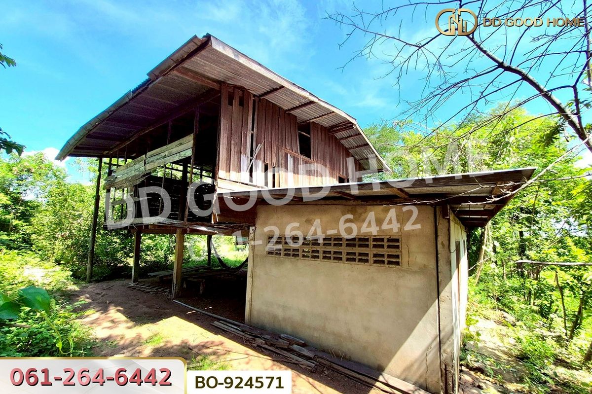 ขายที่ดินโคราช นครราชสีมา : BO-924571 ที่ดินโนนไทย 220.6 ตร.ว. นครราชสีมา ใกล้ที่ว่าการอำเภอโนนไทย