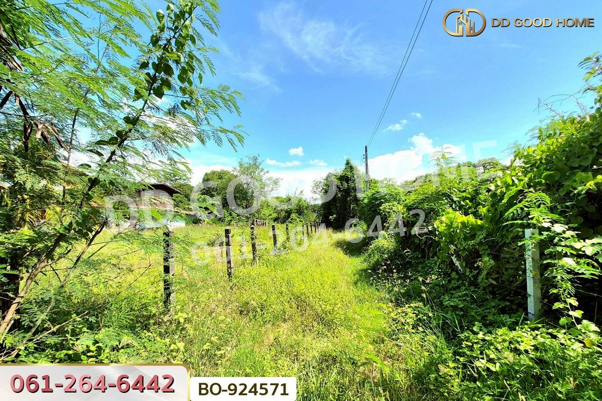 ขายที่ดินโคราช นครราชสีมา : BO-924571 ที่ดินโนนไทย 220.6 ตร.ว. นครราชสีมา ใกล้ที่ว่าการอำเภอโนนไทย