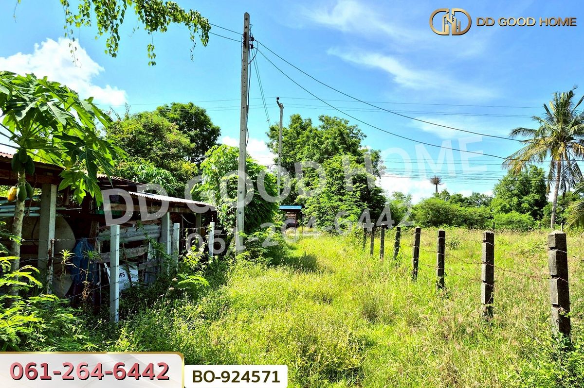 ขายที่ดินโคราช นครราชสีมา : BO-924571 ที่ดินโนนไทย 220.6 ตร.ว. นครราชสีมา ใกล้ที่ว่าการอำเภอโนนไทย