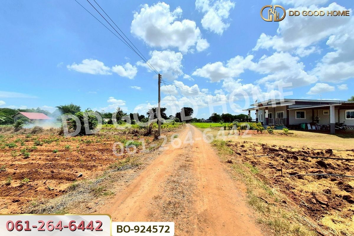 ขายที่ดินโคราช นครราชสีมา : BO-924572 ที่ดินด่านขุนทด 7 ไร่ 45 ตร.ว. นครราชสีมา ใกล้ด่านสีคิ้ว มอเตอร์เวย์บางปะอิน-โคราช