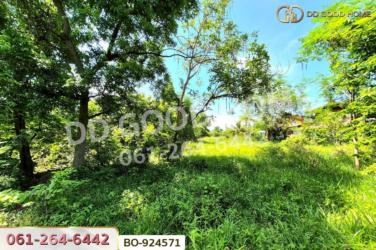 ขายที่ดินโคราช นครราชสีมา : BO-924571 ที่ดินโนนไทย 220.6 ตร.ว. นครราชสีมา ใกล้ที่ว่าการอำเภอโนนไทย