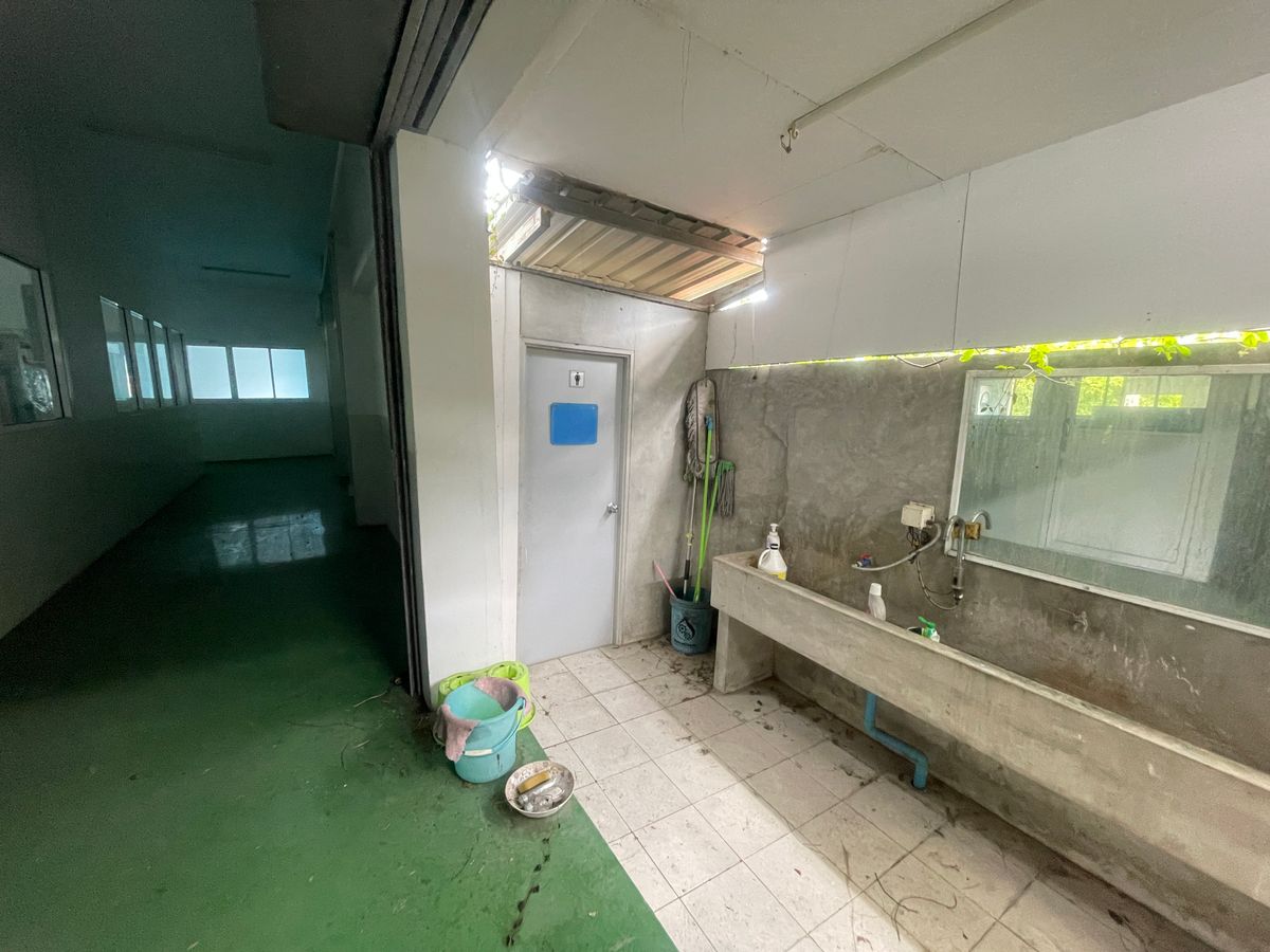 ขายโกดังลาดกระบัง สุวรรณภูมิ : ขายโกดัง ใกล้สุวรรณภูมิ ทำคาเฟ่  ร้านอาหาร โกดัง โรงงานขนาดเล็กได้