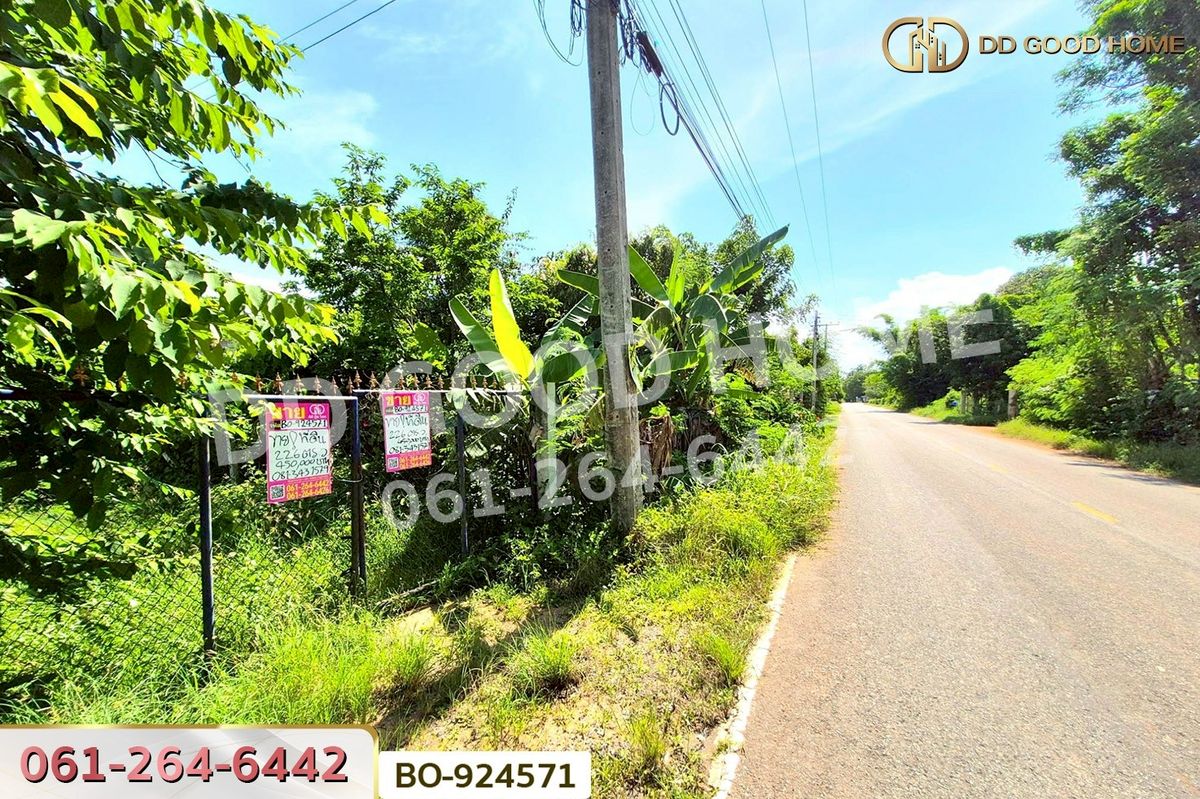 ขายที่ดินโคราช นครราชสีมา : BO-924571 ที่ดินโนนไทย 220.6 ตร.ว. นครราชสีมา ใกล้ที่ว่าการอำเภอโนนไทย