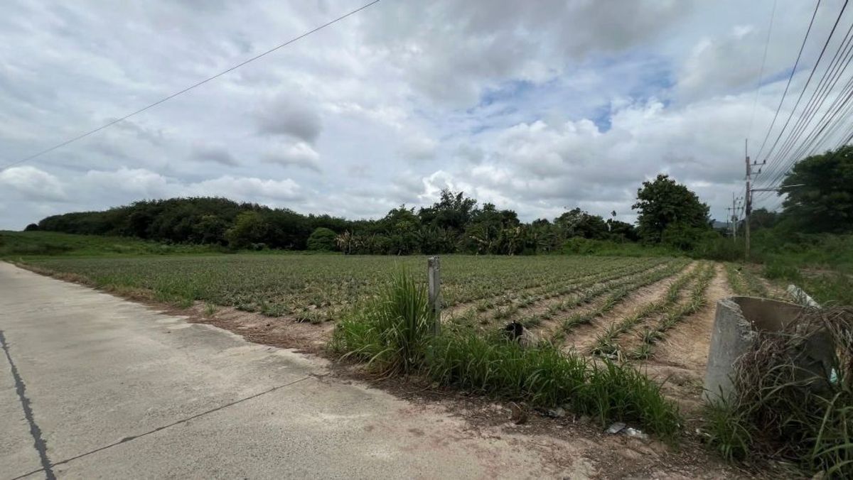 ขายที่ดินระยอง : ขายที่ดินสีม่วงลาย ทำเลทองในเขต EEC นิคมพัฒนา ระยอง 11-2-36 ไร่