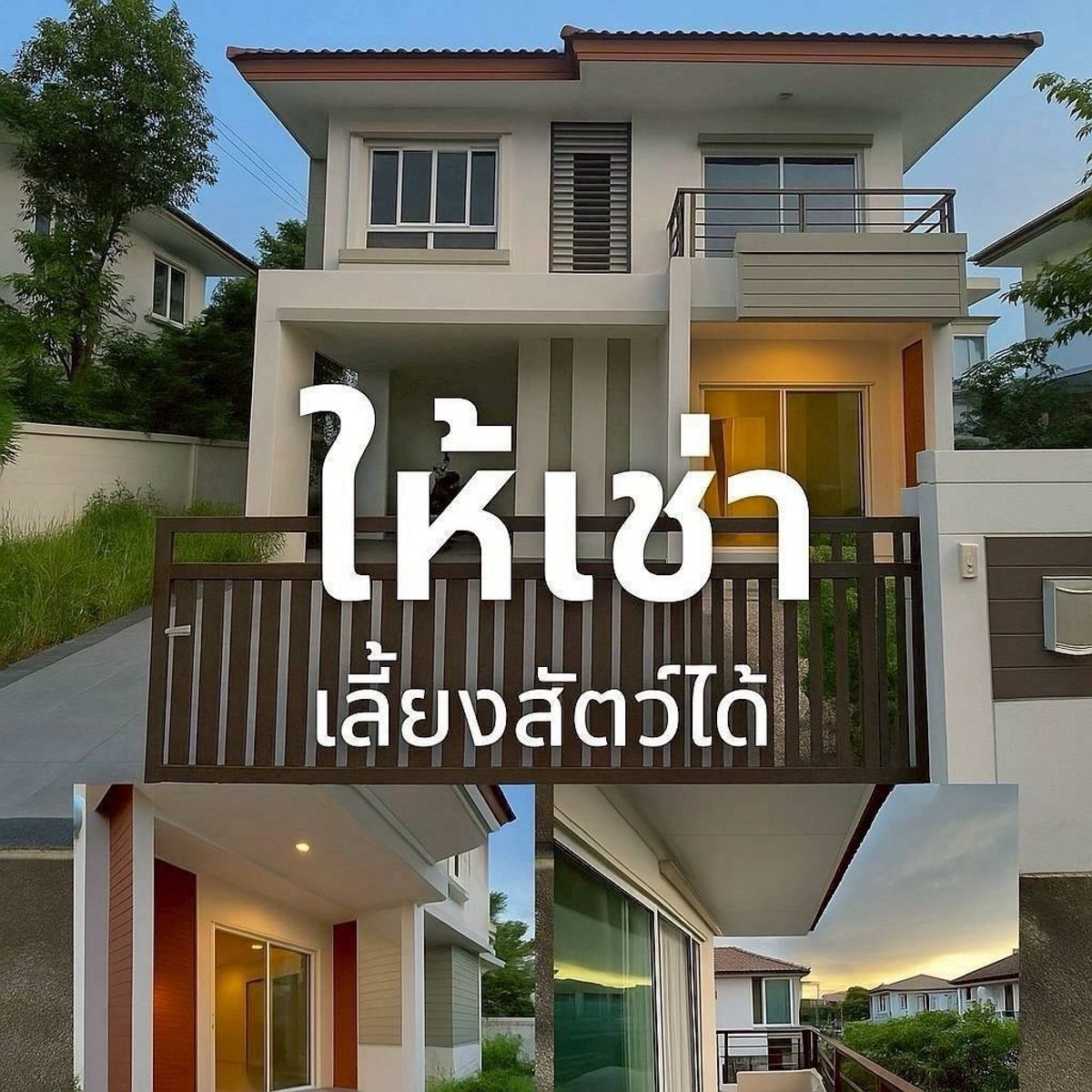 ให้เช่าบ้านนวมินทร์ รามอินทรา : 🏖️✨ บ้านเดี่ยวให้เช่ายินดีรับสัตว์เลี้ยง