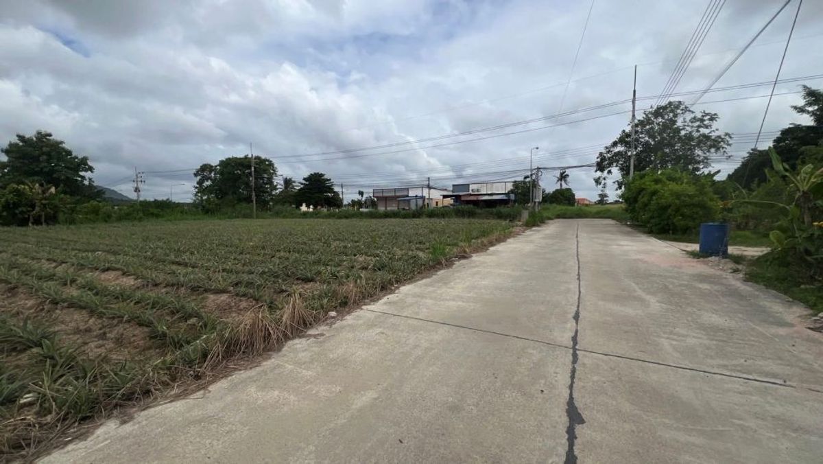 ขายที่ดินระยอง : ขายที่ดินสีม่วงลาย ทำเลทองในเขต EEC นิคมพัฒนา ระยอง 11-2-36 ไร่