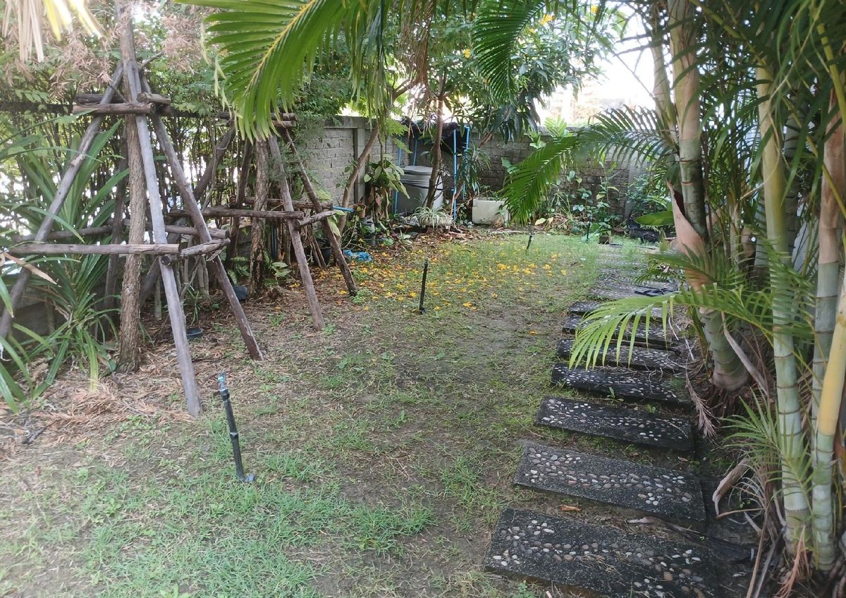 ขายบ้านลาดกระบัง สุวรรณภูมิ : บ้านแฝด โกลเด้น นีโอ บางนา-สวนหลวง ประเวศ  กรุงเทพ 44 ตร.ว. 4นอน 3น้ำ หลังมุม 🔥ฟรีโอน🔥