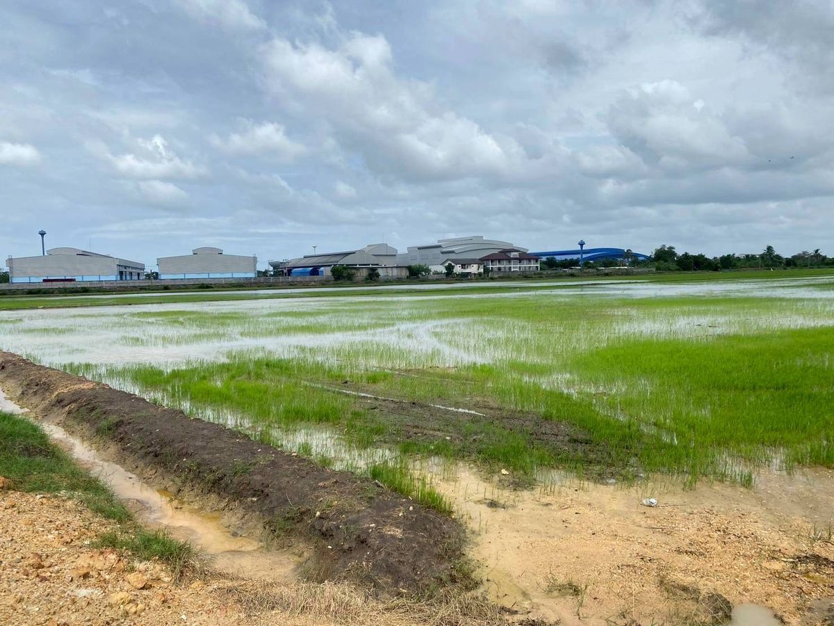 ขายที่ดินสมุทรปราการ สำโรง : ขายที่ดิน สมุทรปราการ เหมาะสำหรับสร้างโรงงาน