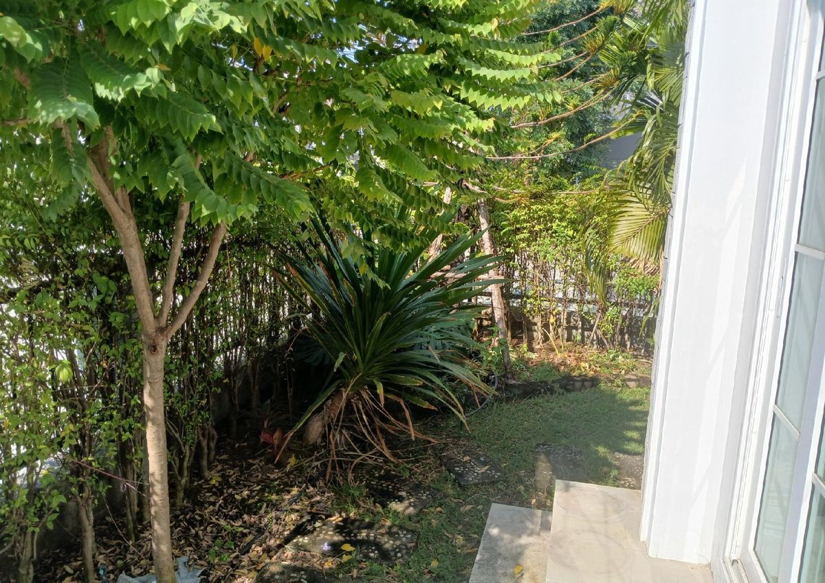 ขายบ้านลาดกระบัง สุวรรณภูมิ : บ้านแฝด โกลเด้น นีโอ บางนา-สวนหลวง ประเวศ  กรุงเทพ 44 ตร.ว. 4นอน 3น้ำ หลังมุม 🔥ฟรีโอน🔥