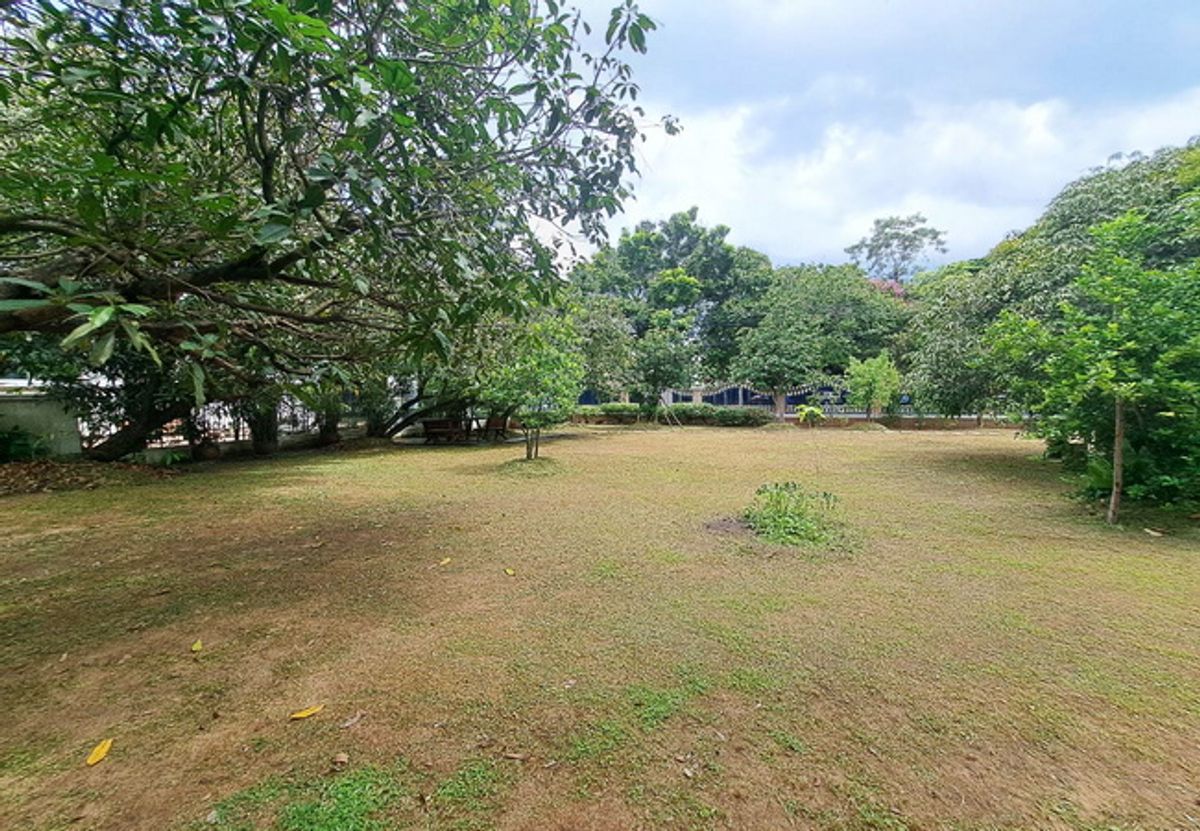 For SaleLandNawamin, Ramindra : Land for sale in Nantawan village Ram Inthra-Watcharapol, Sukhaphiban 5 Road, area 137 sq.w.