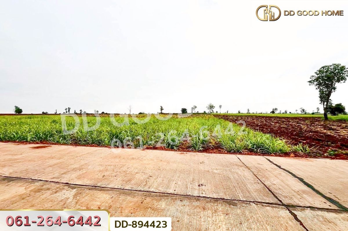 ขายที่ดินอุดรธานี : DD-894423 ที่ดินโนนสะอาด 44 ไร่ 392 ตร.ว. อุดรธานี ใกล้ไปรษณีย์ สาขาโนนสะอาด